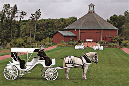 Old World Wisconsin Wedding