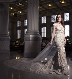 Majestic Bride on Stairs